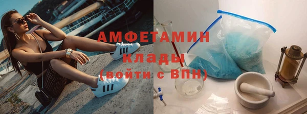 шишки Няндома