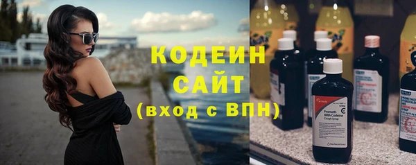 шишки Няндома