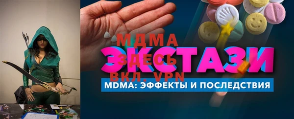 шишки Няндома