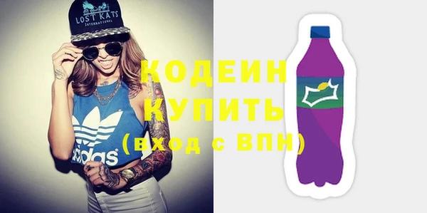 шишки Няндома