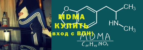 шишки Няндома