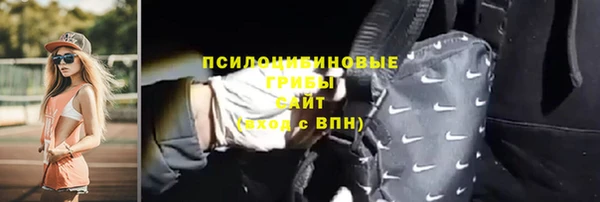 трава Нязепетровск