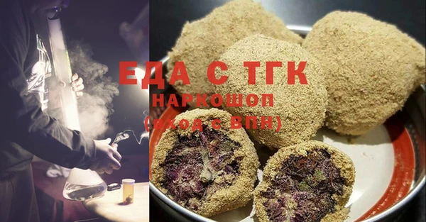 шишки Няндома