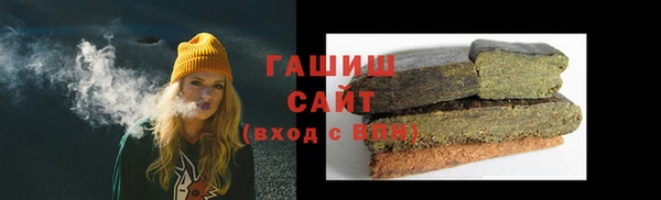 шишки Няндома