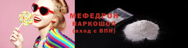 шишки Няндома