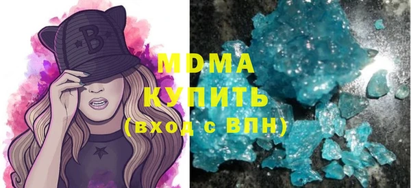 шишки Няндома