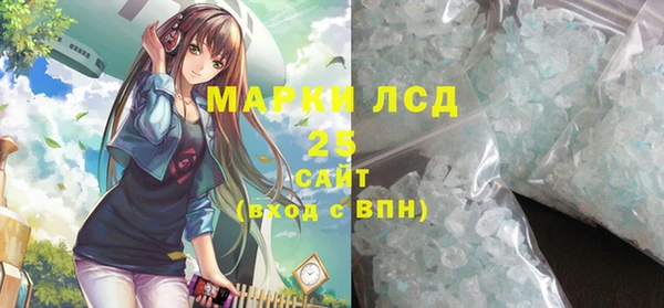 шишки Няндома