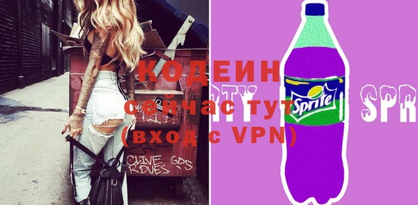 шишки Няндома