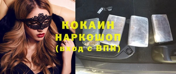 шишки Няндома