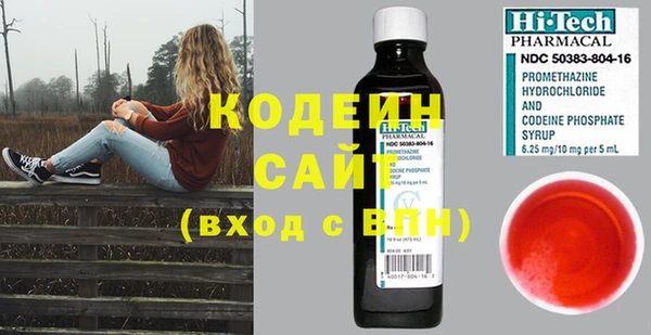 шишки Няндома