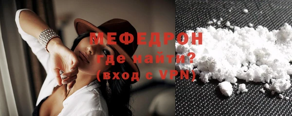 шишки Няндома