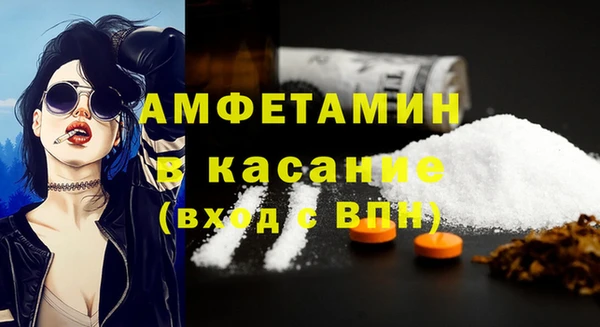шишки Няндома